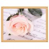 Grosses Soldes Photo De Rose - 5D Kit Broderie Diamants/Diamond Painting AF9360