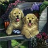 Tableau De Deux Petits Chiens Dans Un Chariot - 5D Kit Broderie Diamants/Diamond Painting QB5455