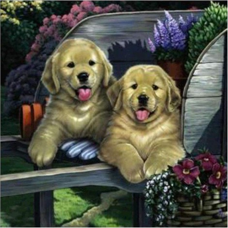 Tableau De Deux Petits Chiens Dans Un Chariot - 5D Kit Broderie Diamants/Diamond Painting QB5455